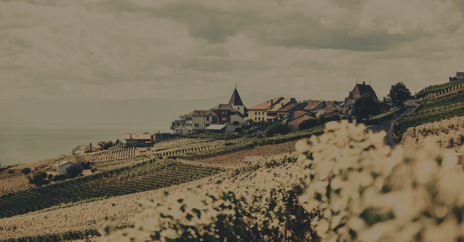 Sofralarınızın Vazgeçilmezi <br>Fermeden